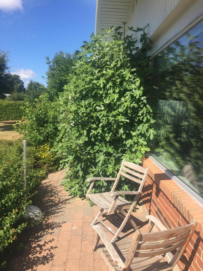 Vaerelse Med Udsigt Over Limfjorden - Rolige Omgivelser Og Adgang Til Flot Have 尼克宾摩斯 外观 照片